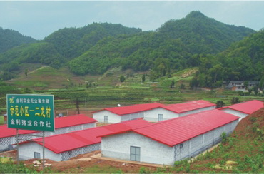 養(yǎng)殖公司實(shí)景